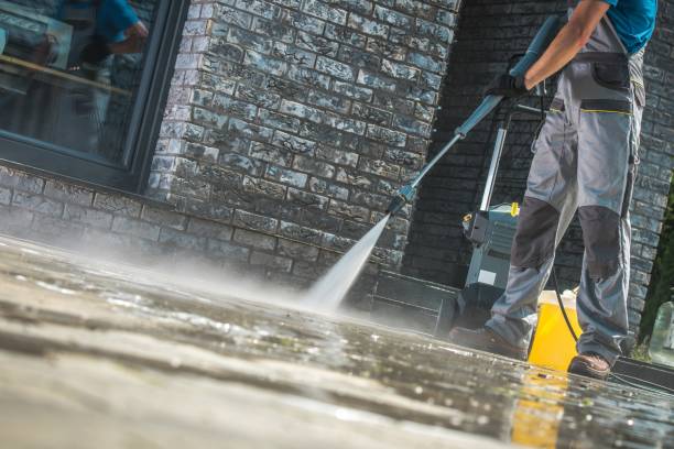 Best Graffiti Removal  in Port Lavaca, TX